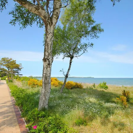 Apartment Haus Breeghus Boddenkoje *