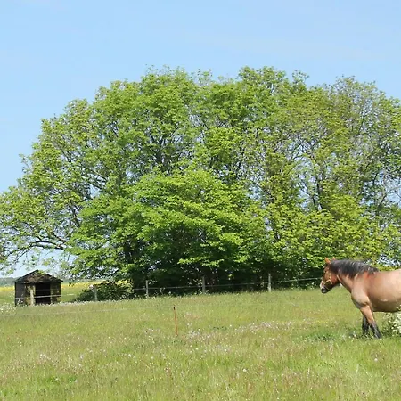 Apartment Haus Breeghus Boddenkoje Breege